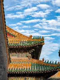 Walking Through History: A Day at Shenyang Imperial Palace