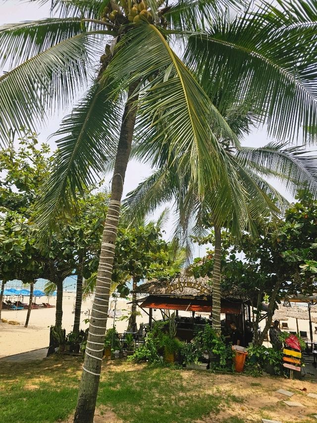 Morning Vibes at My Khe Beach, Da Nang