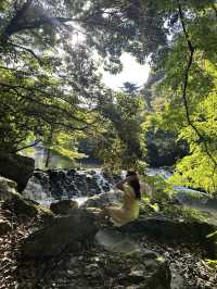 ✨ Cheonjiyeon Waterfall, Seogwipo ✨🌿