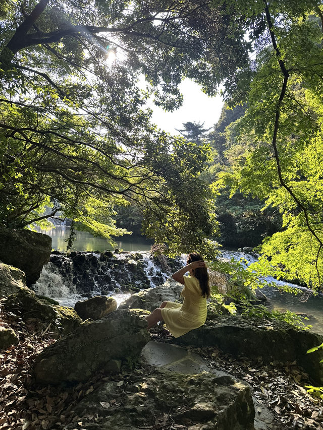 ✨ Cheonjiyeon Waterfall, Seogwipo ✨🌿