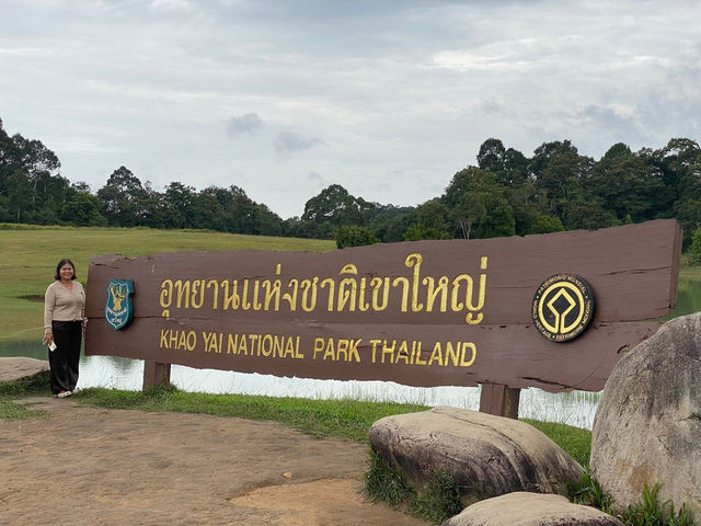 แวะเขาใหญ่แป๊บเดียว แต่ใจดันอยากอยู่นาน ๆ⛰️🛣️