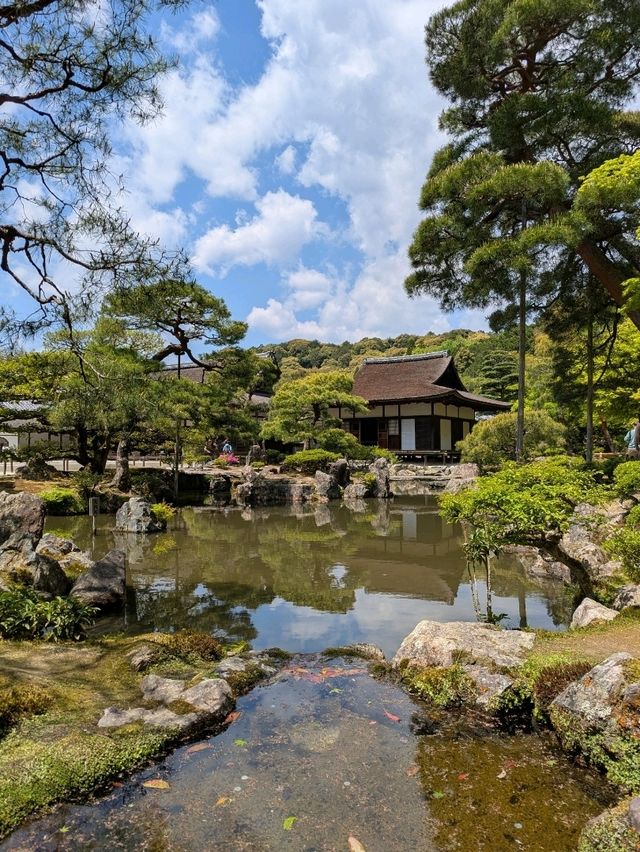 2 days in Kyoto no more than $100 per person.