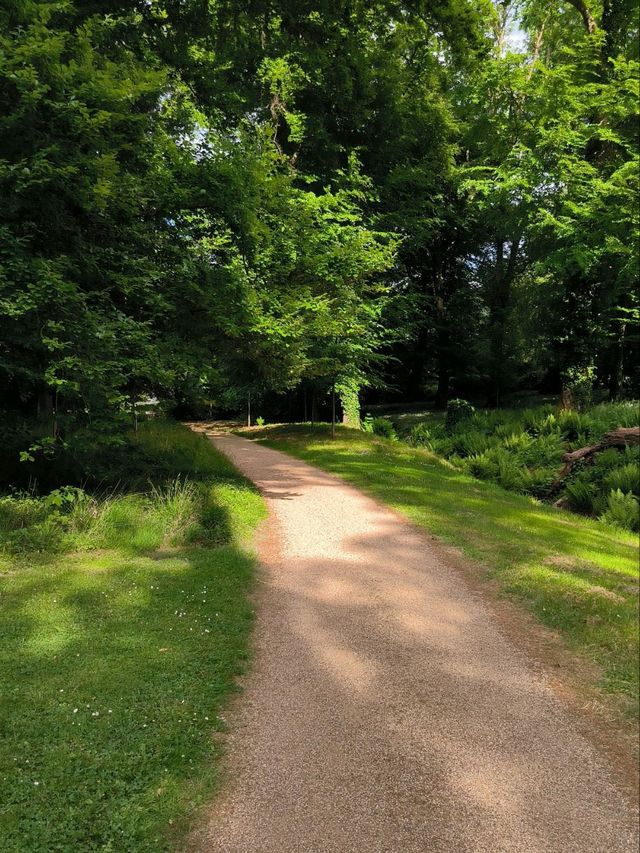 🌿 A Stroll Through Schloss Dyck’s Enchanted Gardens 🏰🦢