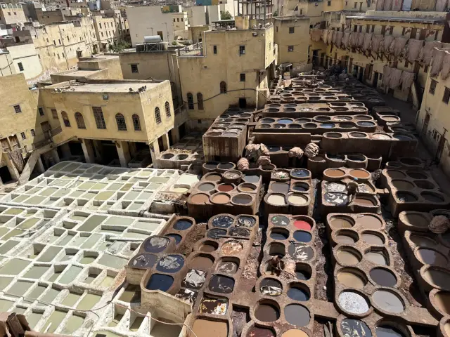 Fabulously Festive Fes