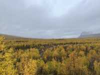 Kungsleden trail