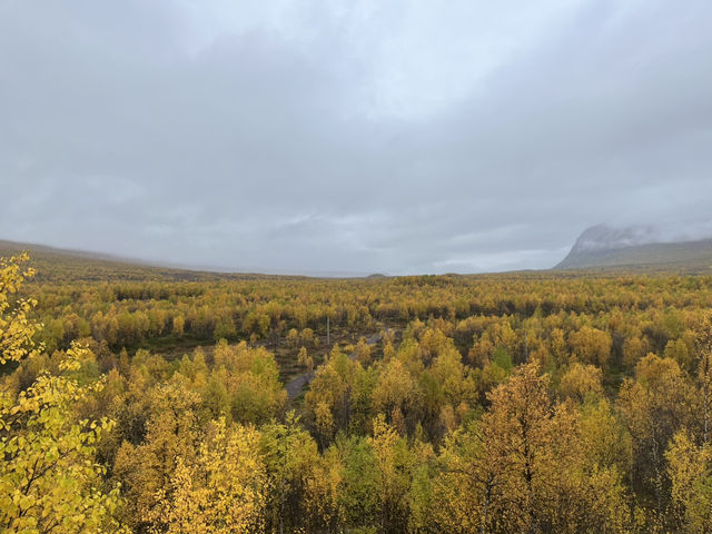 Kungsleden trail