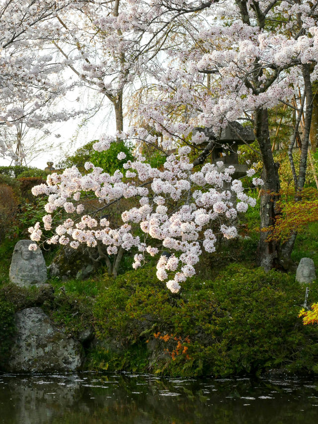 ⛩️ 宮島・厳島神社で体験する幻想的な海上の神域