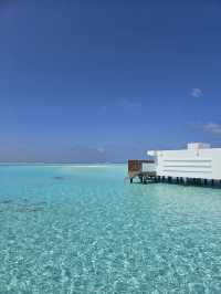 Welcome in Riu Palace 🌊✨Maldives 