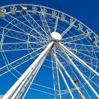 Helsinki: Home to World's Largest Sauna Capital