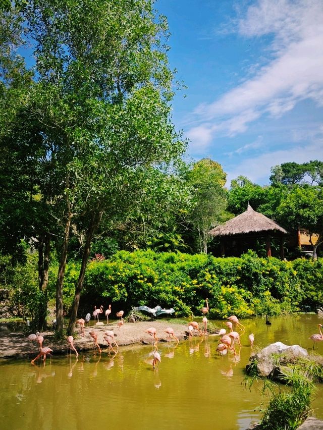 Budget safari is on Phu Quoc Island! 🌿🦁 Budget safari is on Phu Quoc Island! 🌿🦁