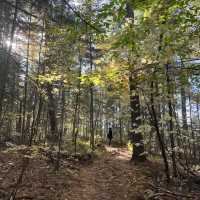 Algonquin Provincial Park