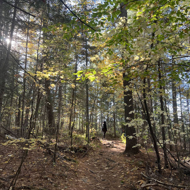 Algonquin Provincial Park