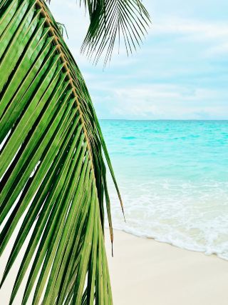THE MALDIVES ARE CLOSER THAN YOU THINK