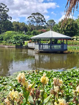 Your Dreamy Day Out at Wollongong Botanic Garden 🌼✨