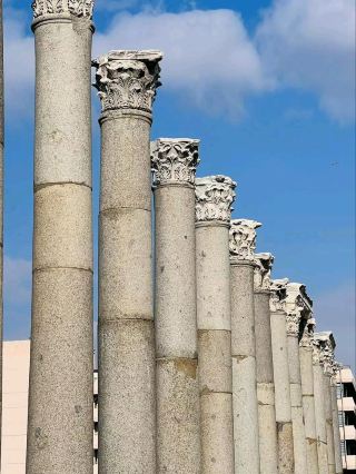 #winterescape ก้าวเข้าสู่ประวัติศาสตร์ที่พิพิธภัณฑ์มิเลตุส 🏛️✨
เริ่มต้นการเดินทางย้อนเวลา ณ พิพิธภัณฑ์มิเลตุสในเมืองดิดิม ที่ซึ่งโบราณวัตถุและซากปรักหักพังอันงดงามบอกเล่าเรื่องราวจากอดีตนับพันปี เตรียมตัวสัมผัสสมบัติล้ำค่าจากยุคคลาสสิกอย่างใกล้ชิด เหมาะสำหรับผู้ที่ชื่นชอบประวัติศาสตร์และทุกคนที่รักการเดินชมบรรยากาศท่ามกลางโบราณวัตถุ

🗺️ เส้นทางแนะนำและสิ่งที่ห้ามพลาด:
เริ่มต้นการเยี่ยมชมของคุณที่ห้องโถงหลักของพิพิธภัณฑ์เพื่อรับข้อมูลเบื้องต้น จากนั้นเดินชมส่วนจัดแสดงทางโบราณคดีที่ประกอบด้วยรูปปั้น จารึก และสิ่งของในชีวิตประจำวันจากมิเลตุส พรีเอเน และดิดิมา อย่าพลาดพื้นที่สวน ที่ซึ่งเสาโบราณและหินแกะสลักจะพาคุณตรงไปยังใจกลางอารยธรรมไอโอเนียน

📸 จุดถ่ายภาพยอดนิยม:
ถ่ายภาพ "โบราณพบกับปัจจุบัน" กับรูปปั้นกลางแจ้งในแสงยามเช้าอ่อนๆ สิงโตหินและเสาหินขนาดใหญ่ตระหง่านเป็นฉากหลังที่งดงาม—ลองถ่ายภาพโดยมีท้องฟ้าสีฟ้าเป็นฉากหลังเพื่อเพิ่มความสวยงามลง Instagram!

🕒 เคล็ดลับการเยี่ยมชม:
พิพิธภัณฑ์เปิดตลอดทั้งปี ตั้งแต่เวลา 8:30 น. ถึง 18:30 น.—ควรมาถึงแต่เช้าเพื่อเพลิดเพลินกับช่วงเวลาที่เงียบสงบก่อนที่กลุ่มทัวร์จะมาถึง ข้อมูลส่วนใหญ่เป็นภาษาตุรกี ดังนั้นควรนำแอปแปลภาษามาด้วย หรือศึกษาประวัติศาสตร์โบราณล่วงหน้า

⚠️ ข้อควรระวัง:
ทางเดินและบริเวณสวนกลางแจ้งบางส่วนอาจไม่เรียบ ดังนั้นควรสวมรองเท้าที่สบาย มีจุดร่มเงาภายนอกอาคารจำกัด ดังนั้นแว่นกันแดดและครีมกันแดดจึงจำเป็นอย่างยิ่งในฤดูร้อน นิทรรศการภายในอาคารมีขนาดกะทัดรัด—ควรหลีกเลี่ยงช่วงเวลาเที่ยงวันที่มีผู้คนพลุกพล่านในเดือนกรกฎาคมและสิงหาคม หากคุณต้องการพักผ่อนอย่างสบายในห้องปรับอากาศ!

#Didim #MiletusMuseum #HistoryLovers #TravelTurkey #InstaWorthy