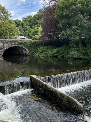 The Beauty of Small Places 💚