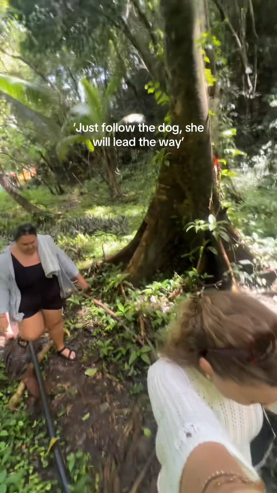 Just follow the dog, she will lead the way