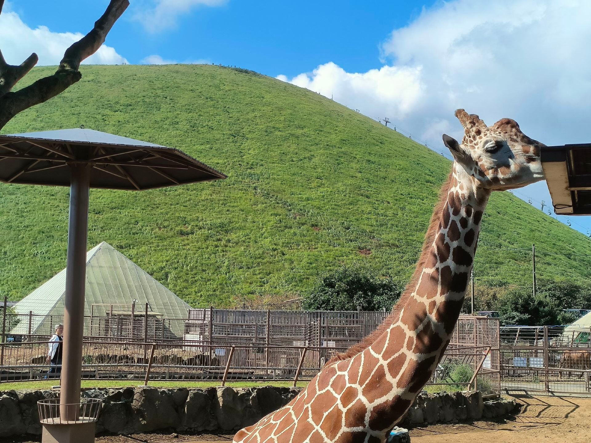 Review: My Real Experience Visiting Izu Shaboten Zoo with Tickets from Trip.com