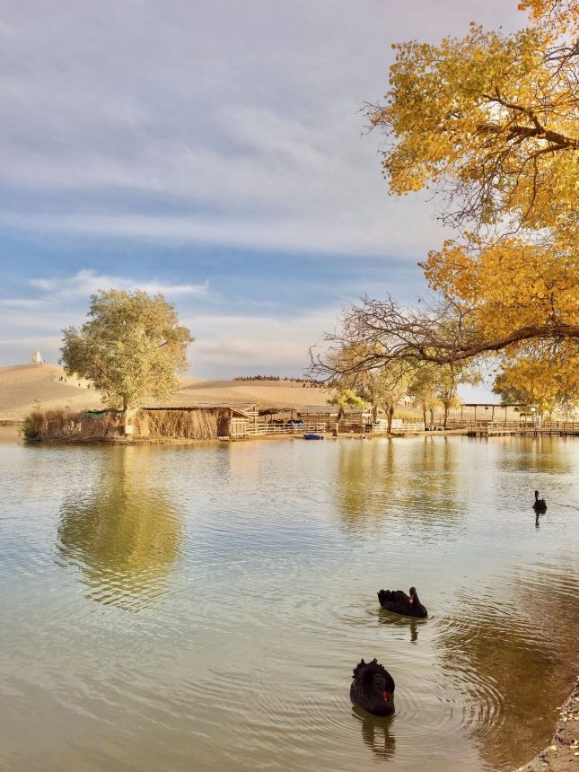 Embark on a scenic journey through Southern Xinjiang, guided by Trip.com's recommendations – a wonderful journey served with heart!