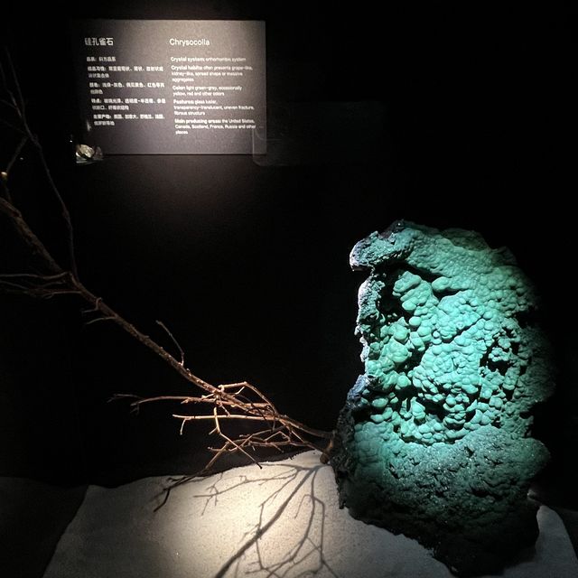 打卡深圳珠寶博物館