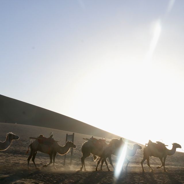Crescent Moon Lake in Dunhuang… stunning