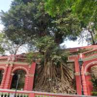 🇲🇴🔝Macao - Ruins of St.Paul's-Must see🔝