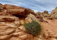 Flame Valley State Park