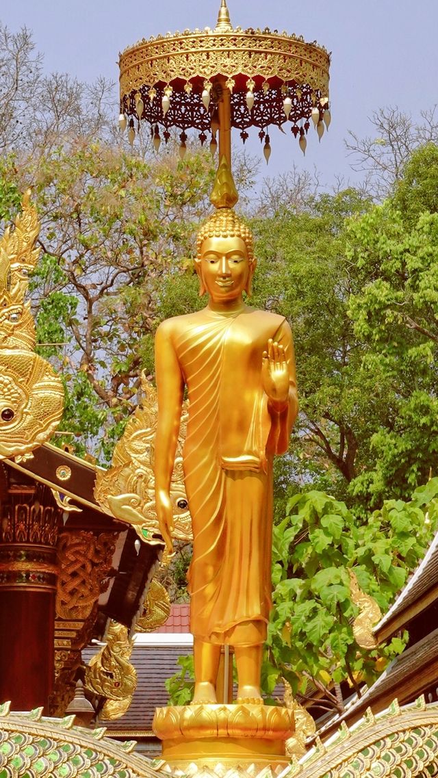 Chiang Mai's largest meditation center, a place where you can truly calm down.