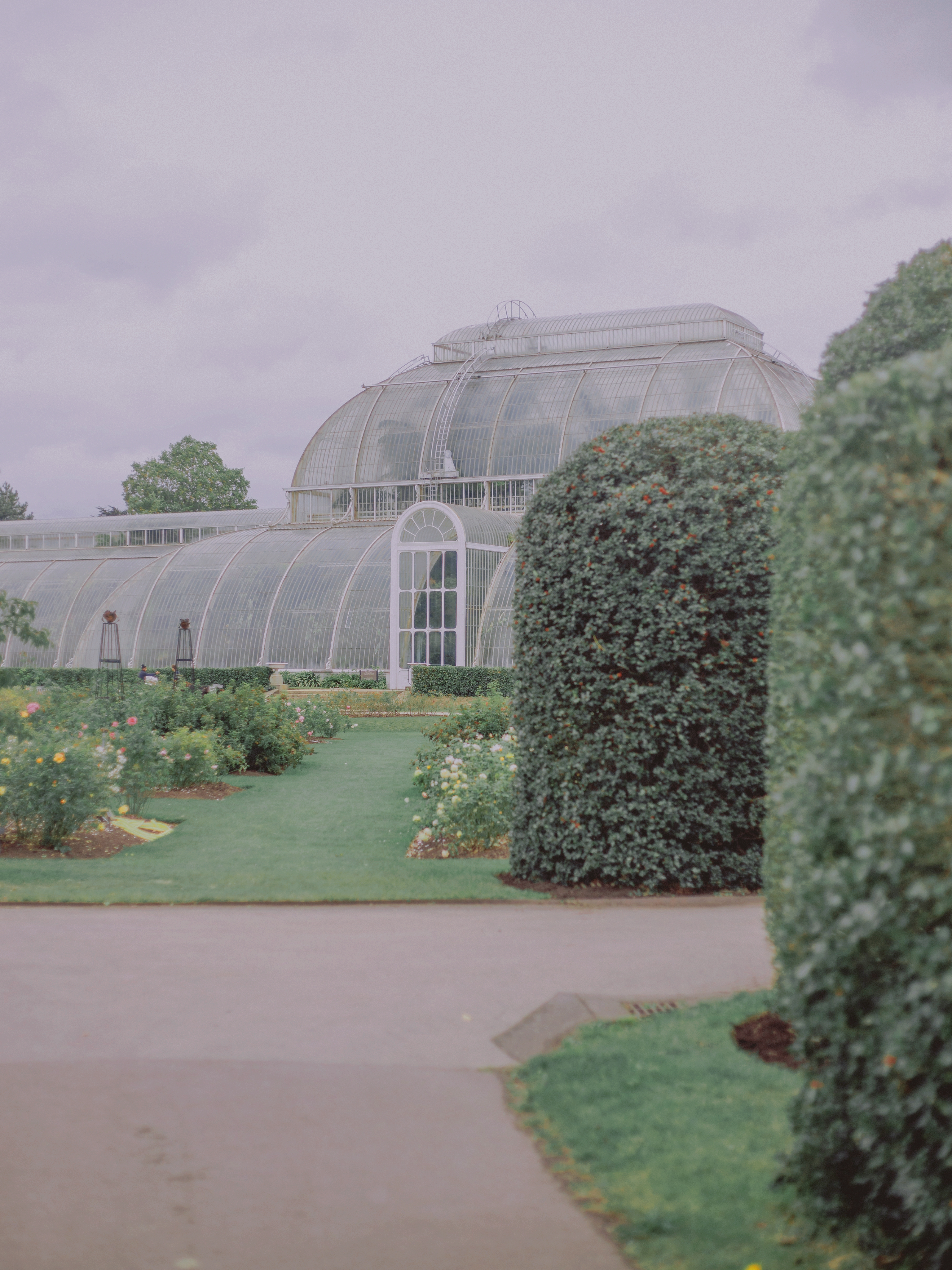 Exploración en Kew Gardens