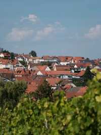 Here is the Center of German Wine!