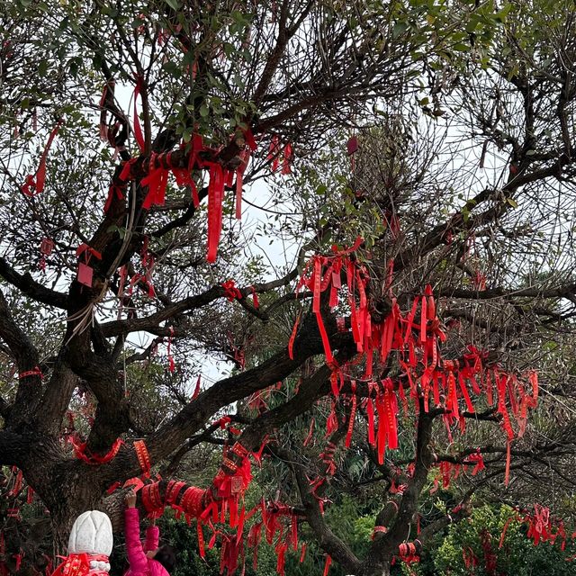 雲南彌勒三天旅遊攻略