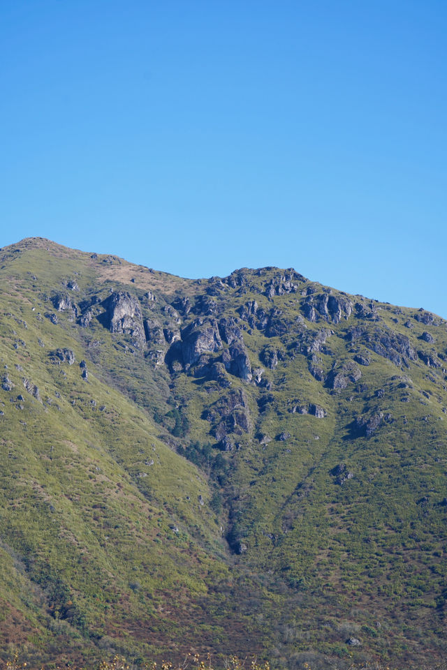 雅安孟獲城萬畝高山草甸，正值秋