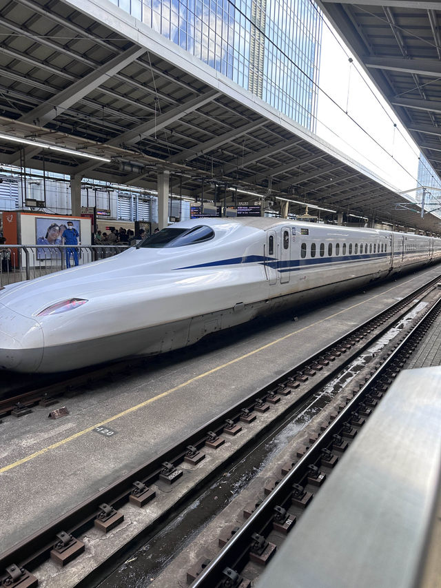 Tokyo, trip of a lifetime. A dream come true