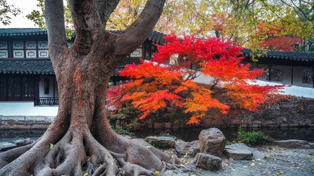 蘇州園林三天旅遊攻略