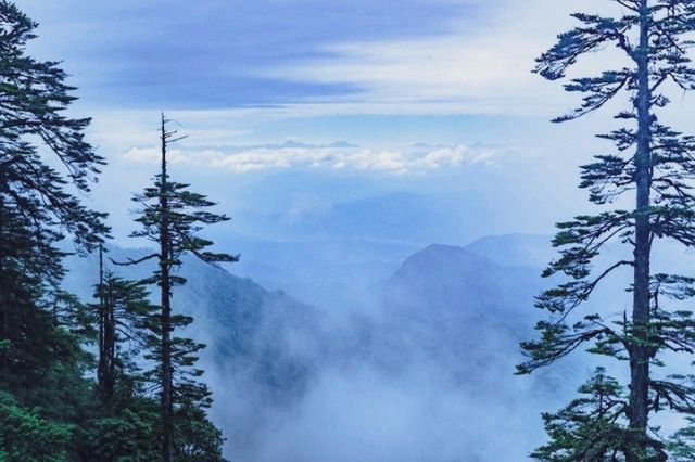 瓦屋山風景區之旅：自然之美與人文之韻的完美融合