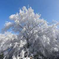 湖南霧凇雪原遊攻略～