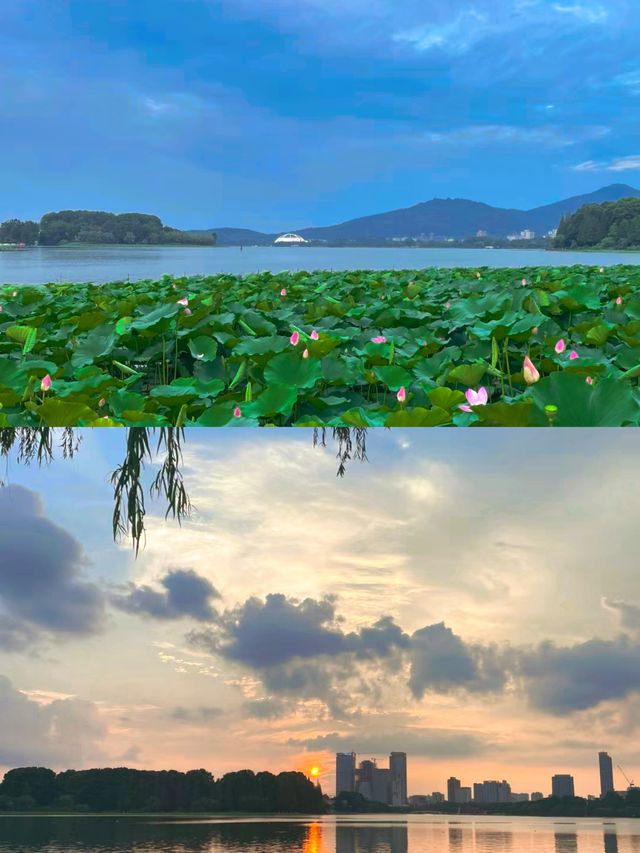 江蘇最大皇家園林湖泊——玄武湖！