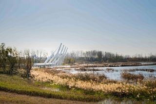 Henan Zhoukou Shahe Bay Wetland Park | An important carrier for urban ecological resilience restoration
