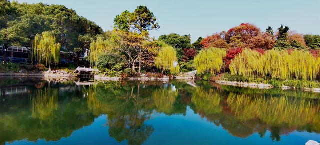 秋日美色古華園