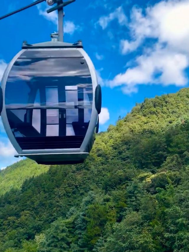 🌳我不允許有人不知道療癒之旅-達州旅行首選住宿🌟