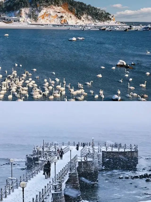 A city of half sea and half snow | Weihai