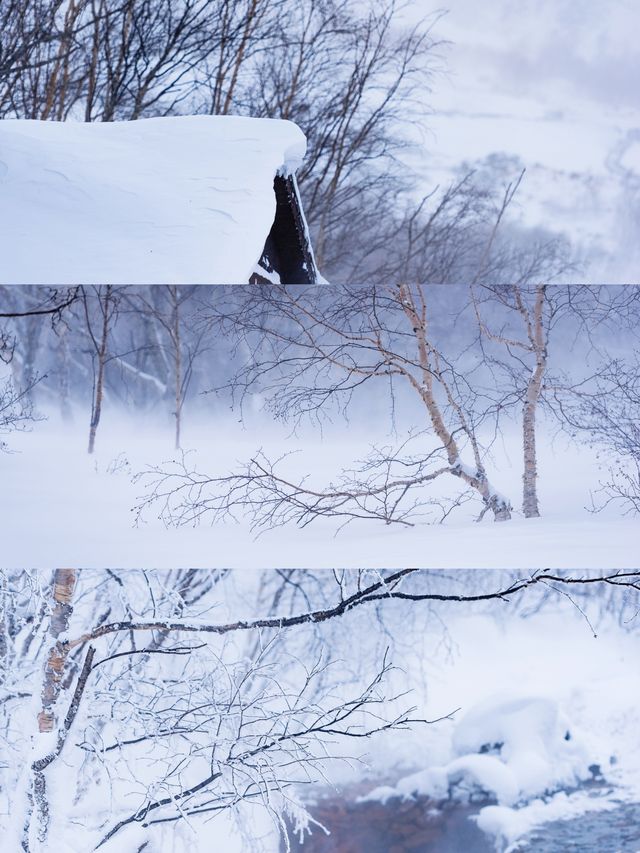 長白山3日，滑雪、溫泉、度假，在長白的高山密林間