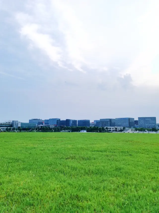 「上海去哪兒玩」在上海逛公園之閔行文化公園！這個公園有點野！