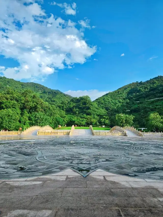 Shenzhen Hiking Recommendation | The Most Beautiful City Greenway·Balcony Mountain Attached Detailed Strategy!