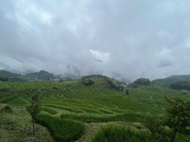 麗水·雲和梯田｜中國最美梯田