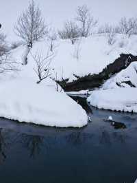 黑龍江五大連池溫泊，東北雪景真的不要太美！