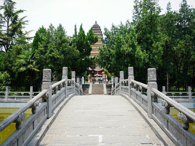 河南洛陽｜河南唯一的一所比丘尼道場