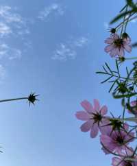 深圳西麗生態公園｜戶外溜孩子好去處