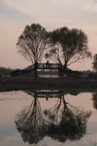 去太湖濕地公園，晚秋景是最誘人