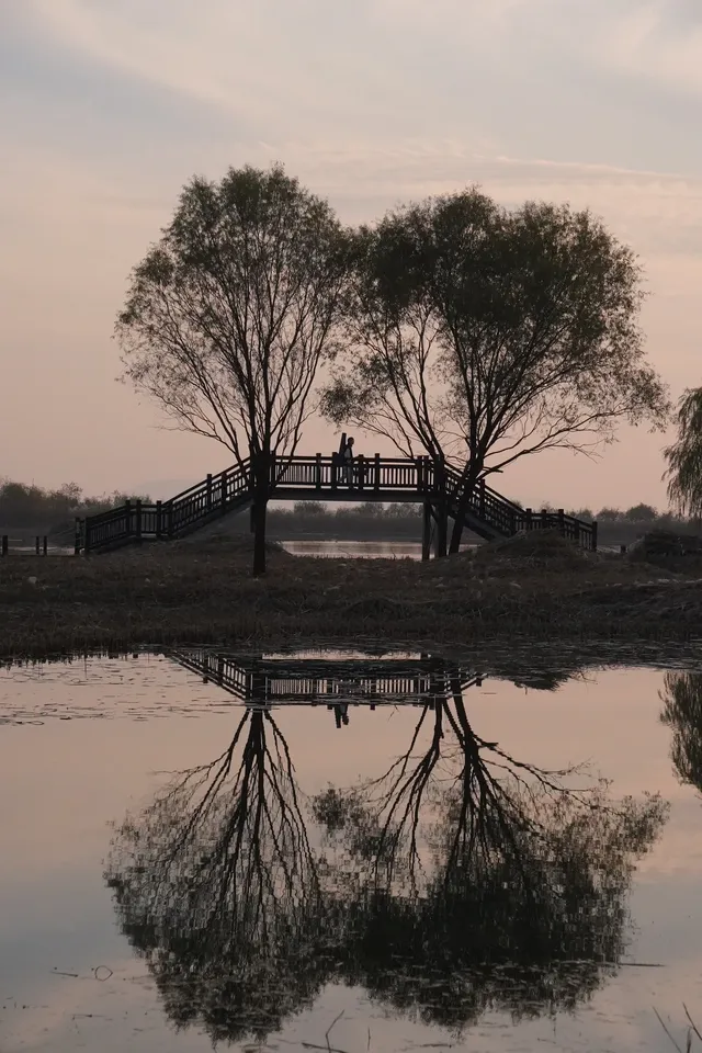 去太湖濕地公園，晚秋景是最誘人